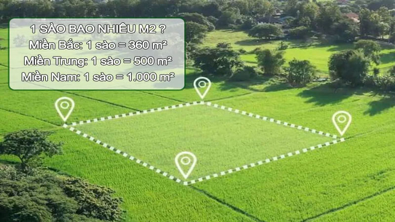 1 sào bằng bao nhiêu m2 Bắc Bộ, Trung Bộ, Nam Bộ?